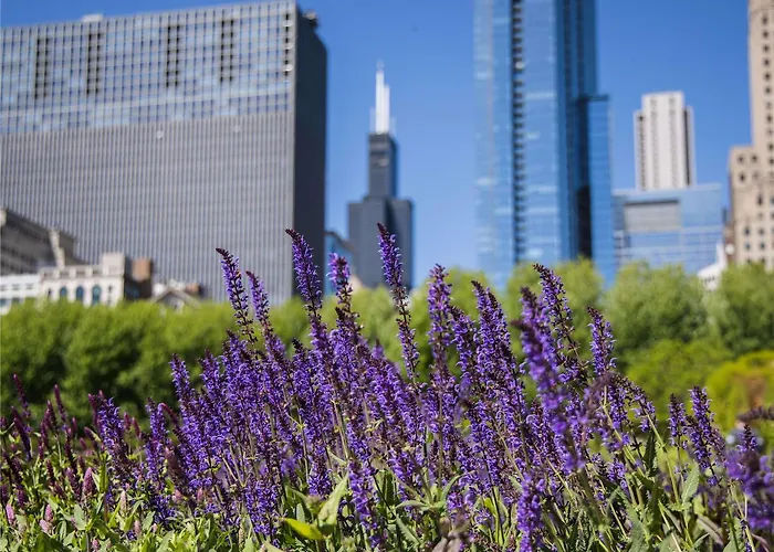 Fairmont Millennium Park Chicago